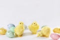 Easter still life with three chickens and eggs against white background Royalty Free Stock Photo
