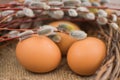 Willow twigs and natural eggs. Easter concept. Royalty Free Stock Photo