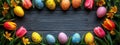 Easter style decoration banner. Coloured eggs and coloured tulips on dark grey wooden background. Holiday celebration greeting