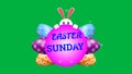 Easter Sunday sticker on green screen with cute rabbit