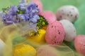 Easter sweet, pink, yellow eggs in a transparent yellow cloth and beautiful purple flowers with water drops. Religious