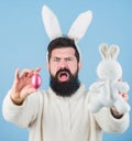 Easter symbol concept. Bearded man wear bunny ears. Egg hunt. Look what i found. Hipster cute bunny blue background