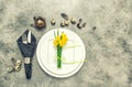 Easter table place setting decoration eggs flowers Vintage picture Royalty Free Stock Photo