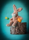 Easter teddy rabbit with tulip and egg sitting on the stump. Royalty Free Stock Photo