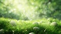 Easter theme background, featuring a soft grassy texture with hidden eggs, ideal for a springtime design Royalty Free Stock Photo