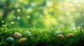 Easter theme background, featuring a soft grassy texture with hidden eggs, ideal for a springtime design Royalty Free Stock Photo