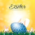 Easter theme with cute rabbits playing in the grass and flowers on a natural background with sunlight Royalty Free Stock Photo