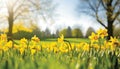 easter themed vibrant spring landscape with lush green grass and whiteyellow background Royalty Free Stock Photo
