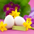 Easter time Royalty Free Stock Photo