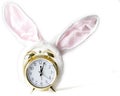 Easter time Royalty Free Stock Photo