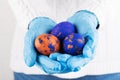 Easter time in quarantine concept. Female hands in blue medical gloves holding colored Easter eggs. Concept of Easter holyday and Royalty Free Stock Photo