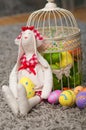 Easter toy bunny with colored eggs Royalty Free Stock Photo