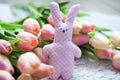 Easter, toy, rabbit, colored, violet, flowers, tulips, spring, bright Royalty Free Stock Photo