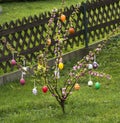Easter tree in the garden