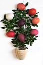 Easter tree with multi-colored Easter eggs on a white background with green branches Royalty Free Stock Photo