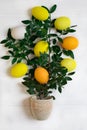 Easter tree with multi-colored Easter eggs on a white background with green spring branches Royalty Free Stock Photo