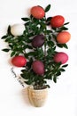 Easter tree with multi-colored Easter eggs on a white background with green branches Royalty Free Stock Photo