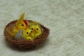 Easter. Two young Chicks and one large chick in the nest on gray background Royalty Free Stock Photo