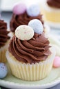 Easter vanilla cupcakes with chocolate frosting Royalty Free Stock Photo