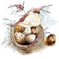 Easter vector background with realistic bird nest eggs and florals for design Royalty Free Stock Photo