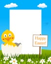 Easter Vertical Frame - Chick in Eggshell Royalty Free Stock Photo