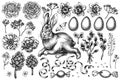 Easter vintage vector illustrations collection. Black and white rabbit, eggs, willow branches, etc.