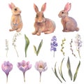 Easter watercolor set, illustrations rabbits, spring flowers in pastel colors. Hand painted illustration for happy Royalty Free Stock Photo