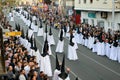 Easter Week procession of the Brotherhood of Jesus in his Third Fall on Holy Monday in Zamora, Spain.
