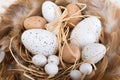 Easter eggs and basket and feathers Royalty Free Stock Photo