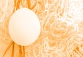 Easter white egg on gold braided nest background, top view, flat, copy space Royalty Free Stock Photo