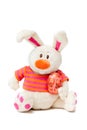 Easter white plush bunny