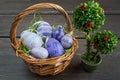 Easter wicker basket with colored eggs and a small bonsai on grey wooden board. Royalty Free Stock Photo