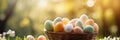 Easter wicker basket, colorful painted eggs in green grass, sunny day, egg hunt, banner background Royalty Free Stock Photo