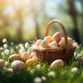 Easter wicker basket, colorful painted eggs in green grass, sunny day, egg hunt, banner background Royalty Free Stock Photo
