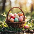 Easter wicker basket, colorful painted eggs in green grass, sunny day, egg hunt, banner background Royalty Free Stock Photo