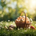 Easter wicker basket, colorful painted eggs in green grass, sunny day, egg hunt, banner background Royalty Free Stock Photo