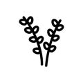 Easter willow icon vector. Isolated contour symbol illustration