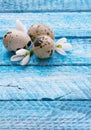 Easter wood background