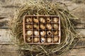 Easter wood background with box of eggs in nest