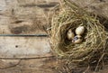 Easter wood background with nest and quail eggs Royalty Free Stock Photo