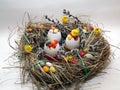 Easter wreath made of a hay with willow branches and filled egg shells Royalty Free Stock Photo
