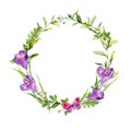 Easter wreath with spring crocus flowers, grass, butterfly. Circle frame. Watercolor Royalty Free Stock Photo