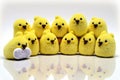 Happy Easter, Easter Yellow Peeps designs and styles based on popularity and customer reviews Royalty Free Stock Photo