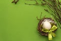 Easter zero waste decor, DIY concept. Design element and decor. Bird nest, egg, moss, birch branches, feather. Green background Royalty Free Stock Photo