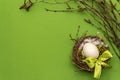 Easter zero waste decor, DIY concept. Design element and decor. Bird nest, egg, moss, birch branches, feather. Green background Royalty Free Stock Photo