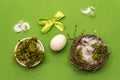 Easter zero waste decor, DIY concept. Design element and decor. Bird nest, egg, moss, bow, feather. Green background Royalty Free Stock Photo