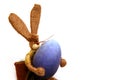 Easterbunny with easteregg Royalty Free Stock Photo
