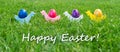 Colorful Easter eggs and text: happy easter Royalty Free Stock Photo