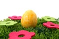 Easteregg on grass Royalty Free Stock Photo