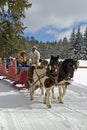 Eastern Arizona White Mountains Snowfall Royalty Free Stock Photo